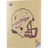 Florida State University FSU Helmet PS5 Digital Edition Console Skin
